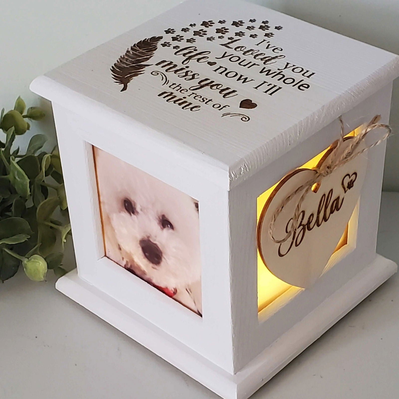 Custom Pet Urns For Ashes - Personalized Memorial With Photo & Name Engraving
