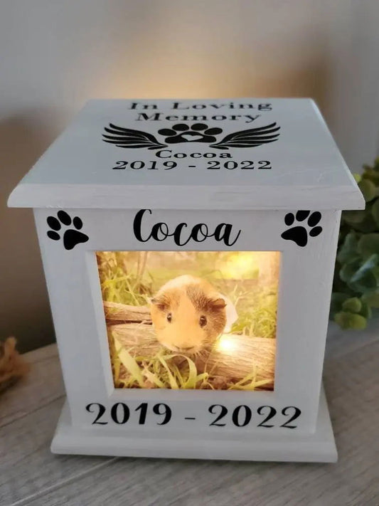 Pet Urn with photos, Guinea pig urn, urn for Guinea pig, Guinea pig memorial,  urn for small animals - Wags and Willows