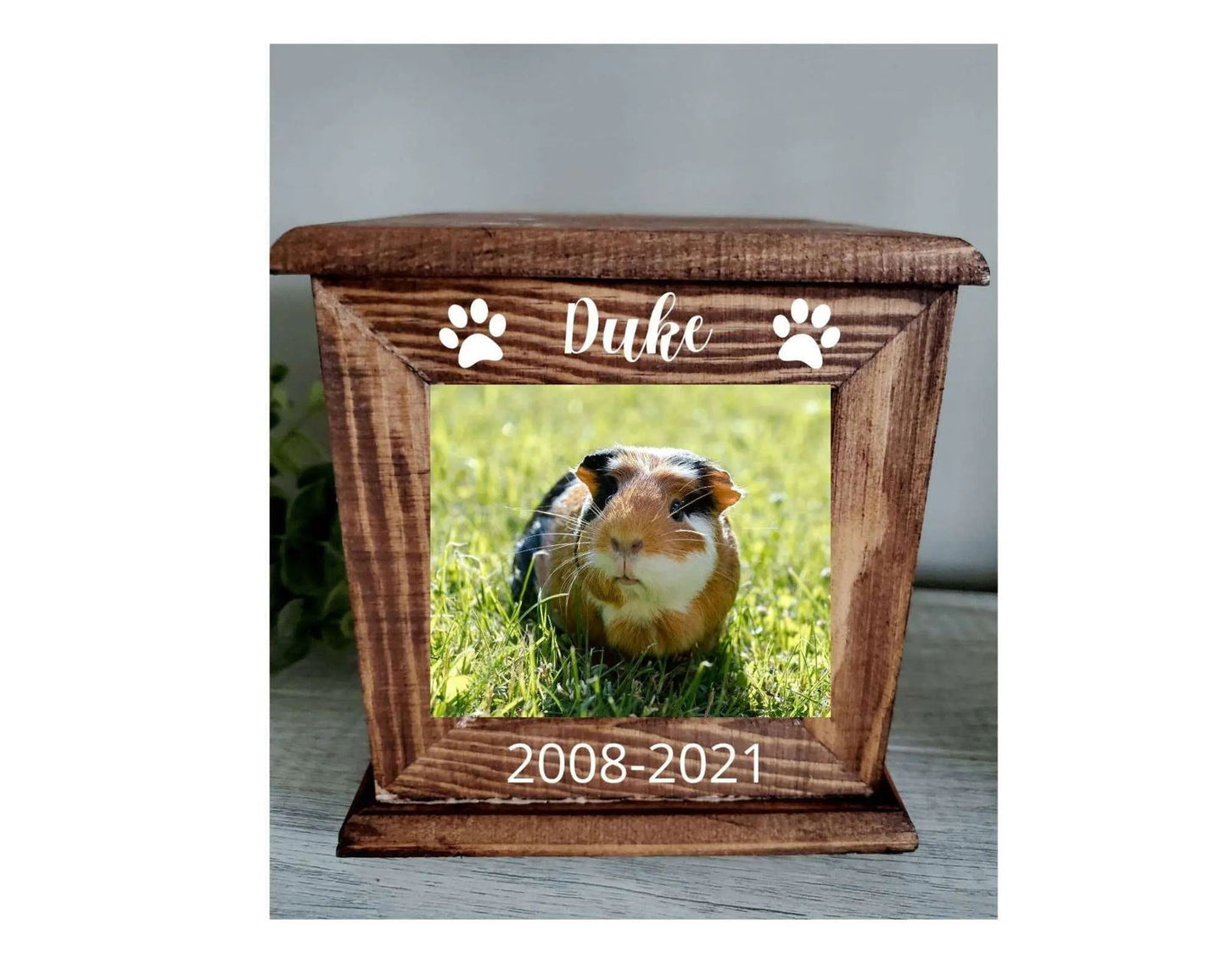 Pet Urn with photos, Guinea pig urn, urn for Guinea pig, Guinea pig memorial, urn for small animals - Wags and Willows