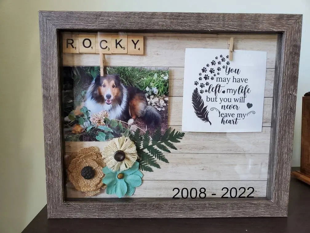 Pet memorial shadow box, Pet memory box, pet memorial frame - Wags and Willows