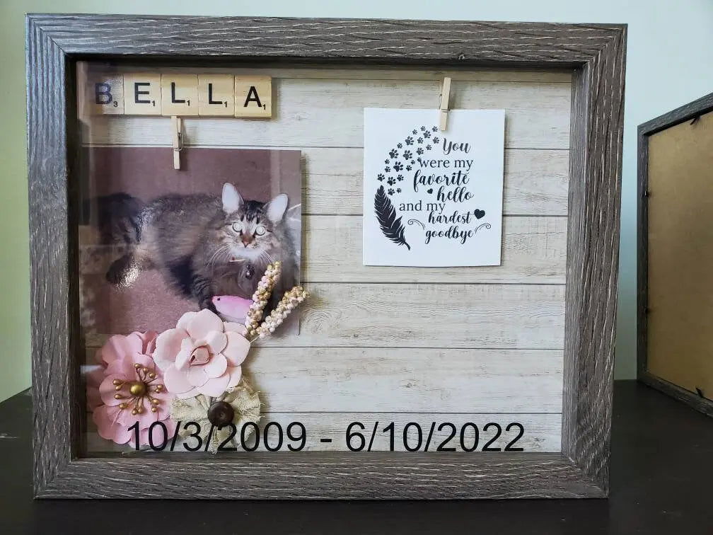Pet memorial shadow box, Pet memory box, pet memorial frame - Wags and Willows
