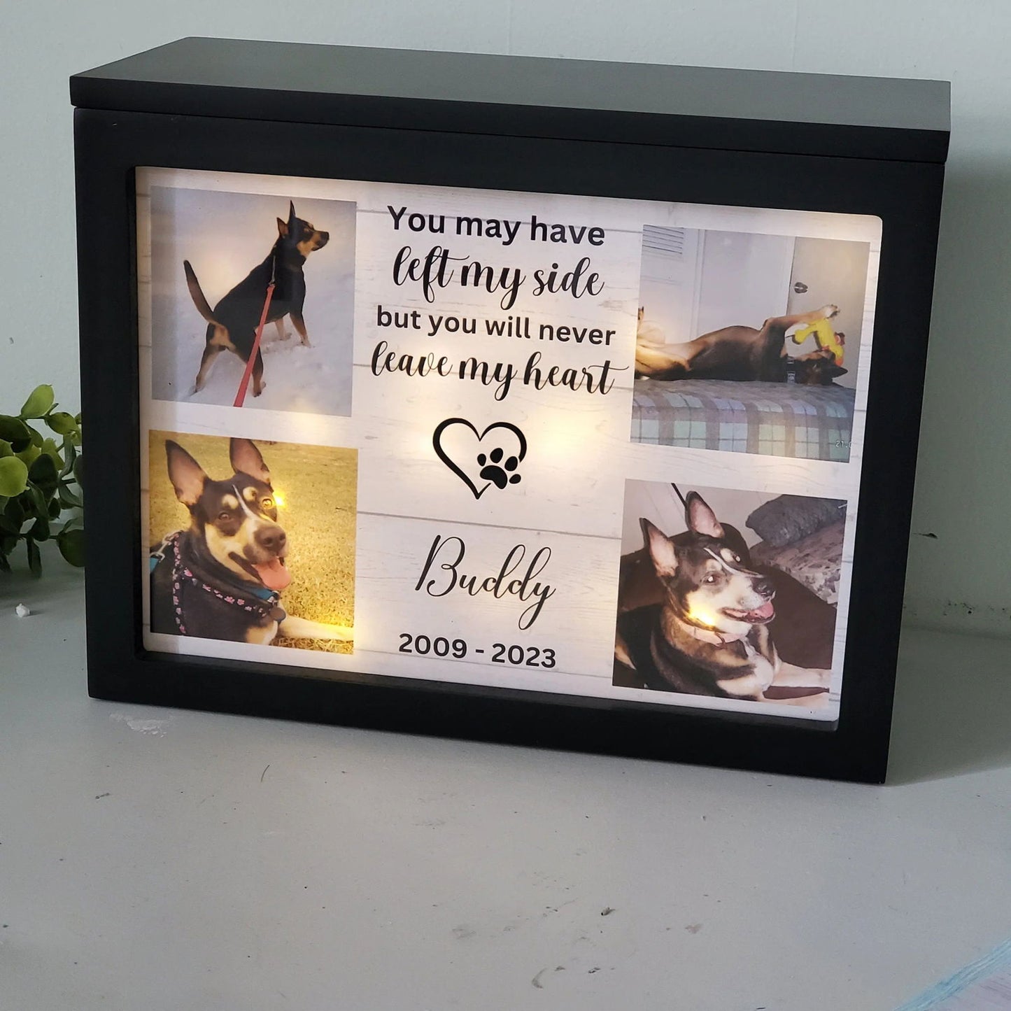 Pet urn for dogs ashes, pet urn for cats ashes - Wags and Willows