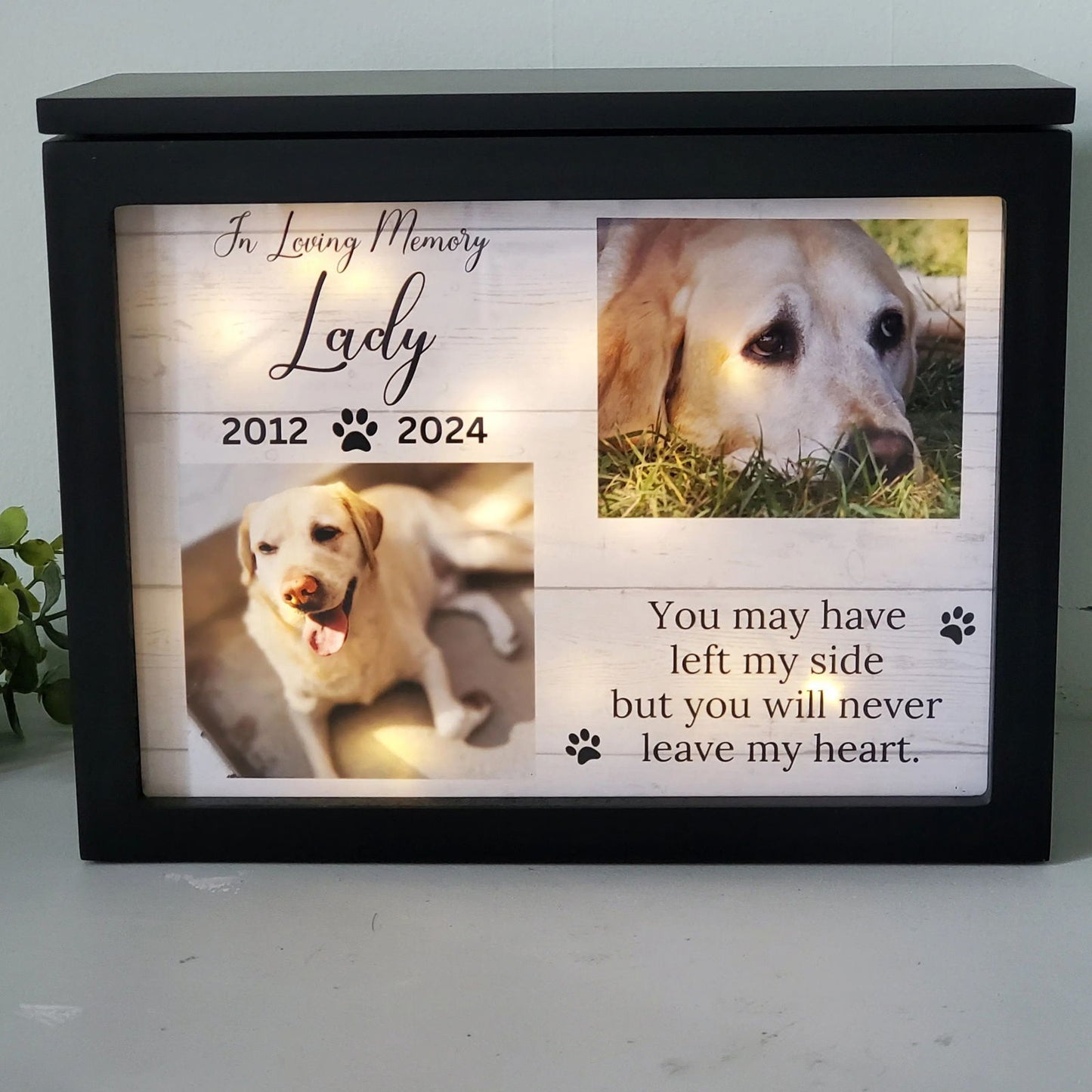 Pet urn for large dogs, Pet Memorial - Wags and Willows
