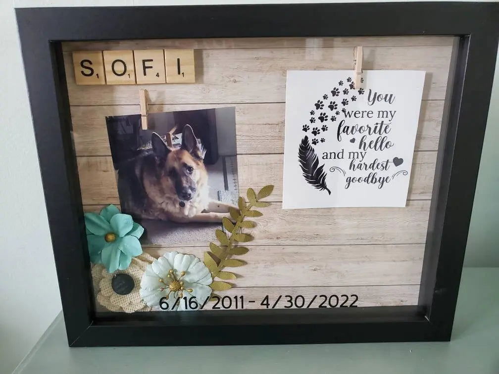 Rabbit Memorial Shadowbox, rabbit Memorial , bunny Memorial, - Wags and Willows