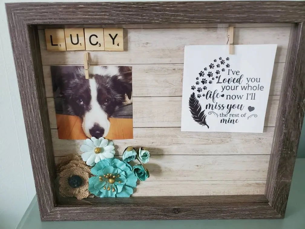 Rabbit Memorial Shadowbox, rabbit Memorial , bunny Memorial, - Wags and Willows