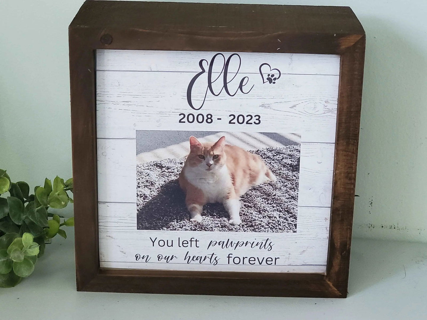 Wood Pet urn, pet urn for dogs, Cat urn, pet urn for cats, Small Dog Urn, Large Dog Urn - Wags and Willows