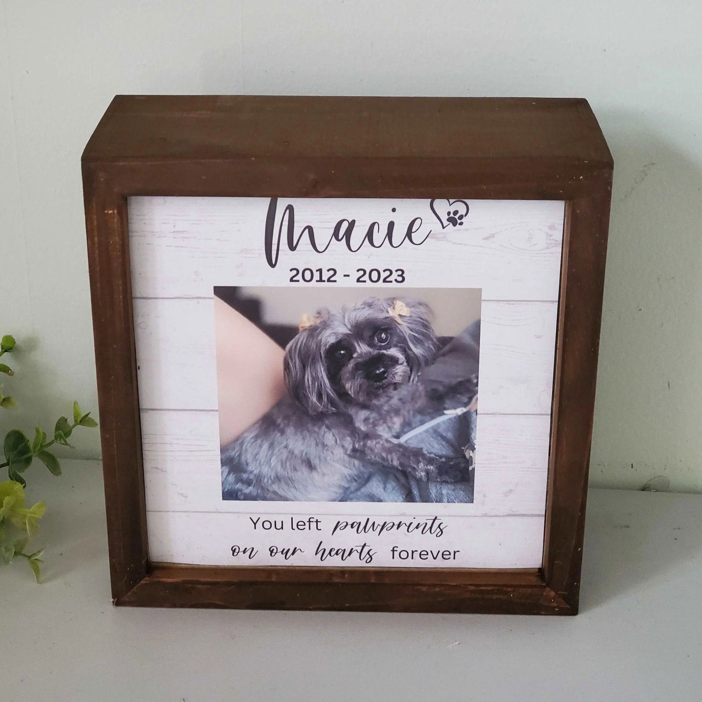 Wood Pet urn, pet urn for dogs, Cat urn, pet urn for cats, Small Dog Urn, Large Dog Urn - Wags and Willows