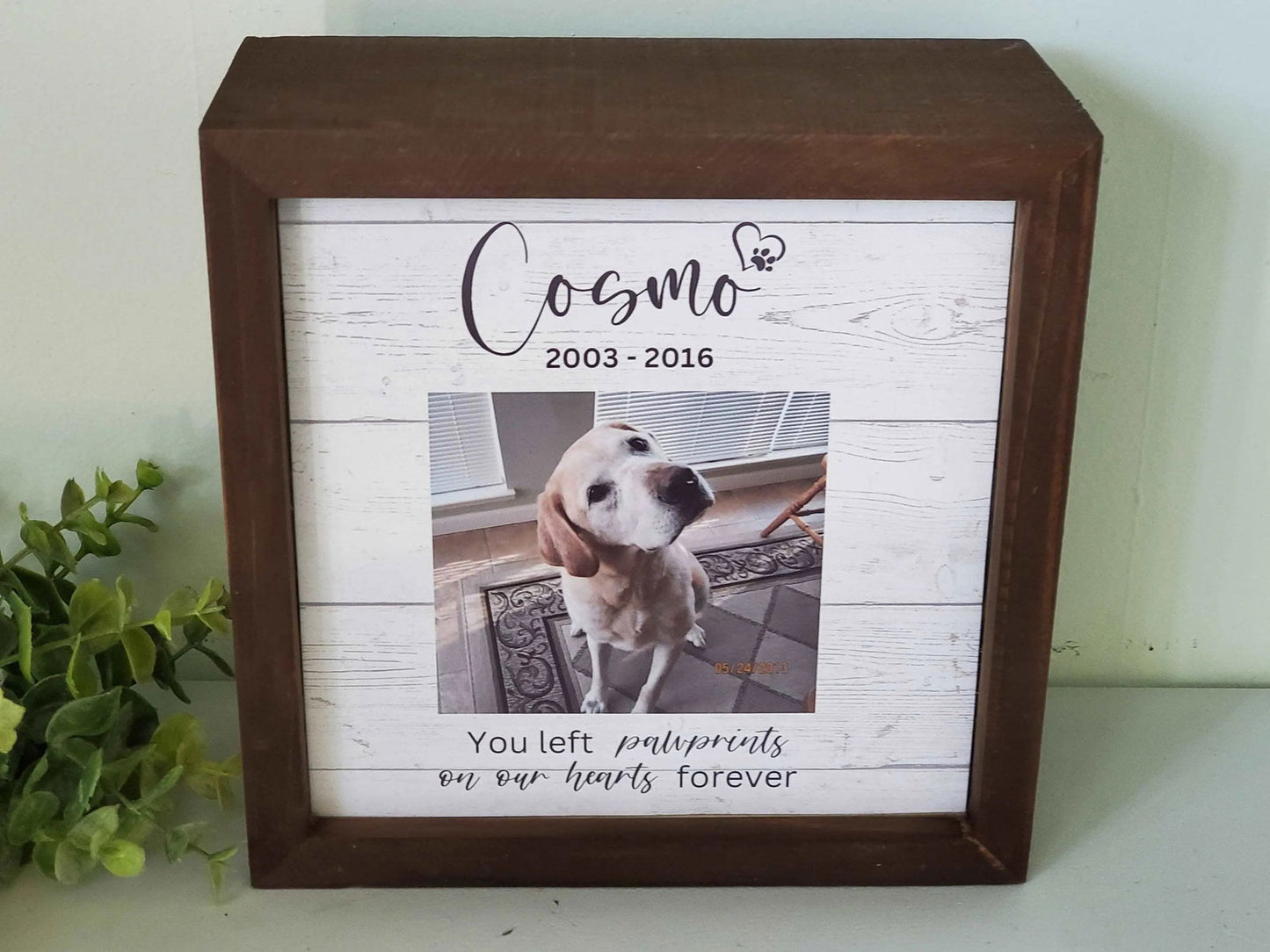 Wood Pet urn, pet urn for dogs, Cat urn, pet urn for cats, Small Dog Urn, Large Dog Urn - Wags and Willows