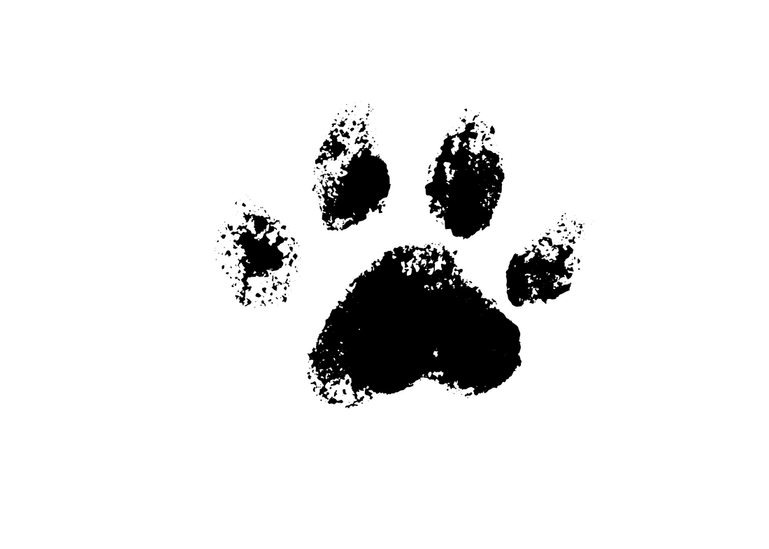 Pet Memorial Shadowboxes: A Beautiful Way to Display Your Pet's Paw Print Keepsake