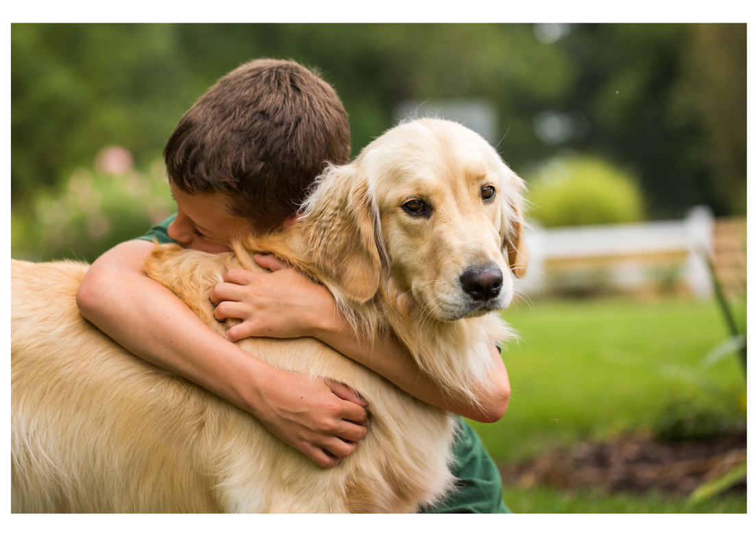 How to Talk to Children about the Loss of a Pet