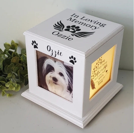 How Big of an Urn do I need for my Dog?