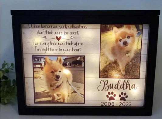 How to Personalize Your Pet’s Urn: Engravings, Photos, and More