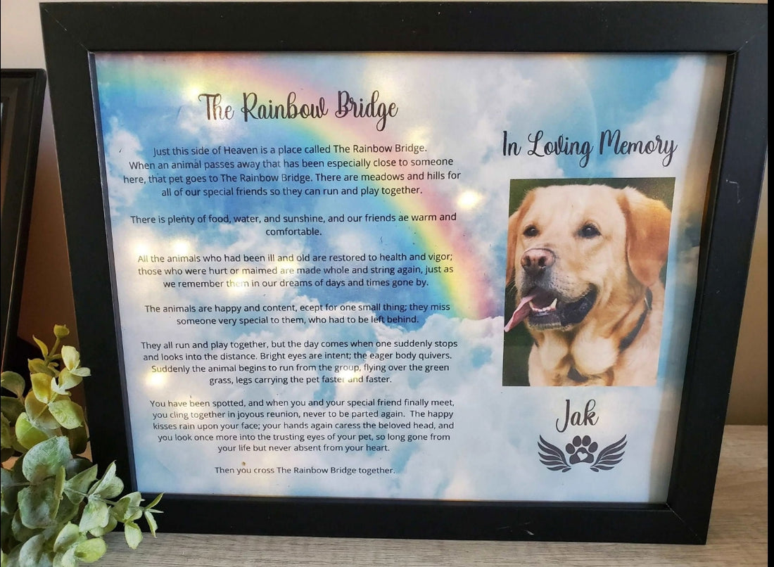 Gift Ideas for Loss of Pet: Pet Memorial Shadowboxes and Frames for Friends and Family