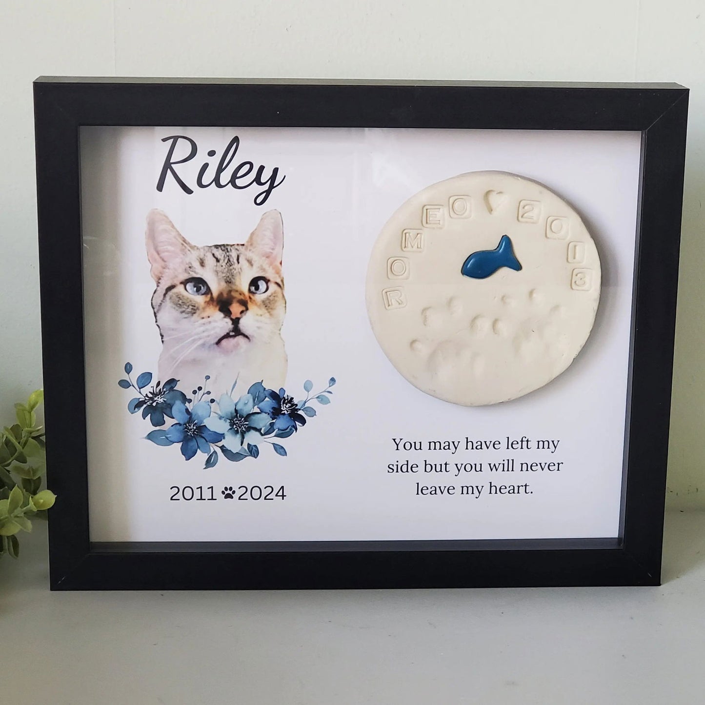 Cat Memorial Shadowbox Frame - Wags and Willows 