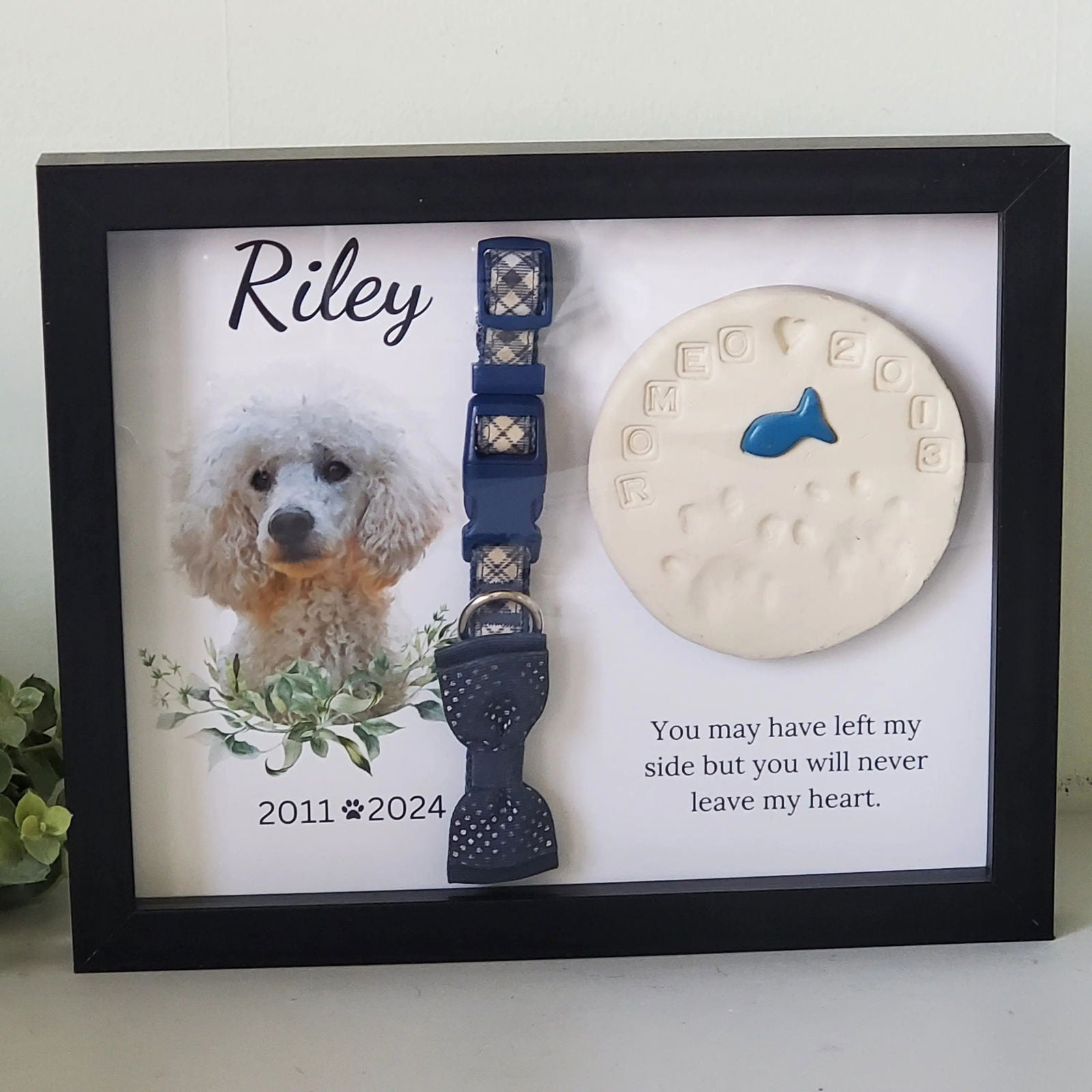 Cat Memorial Shadowbox Frame - Wags and Willows 