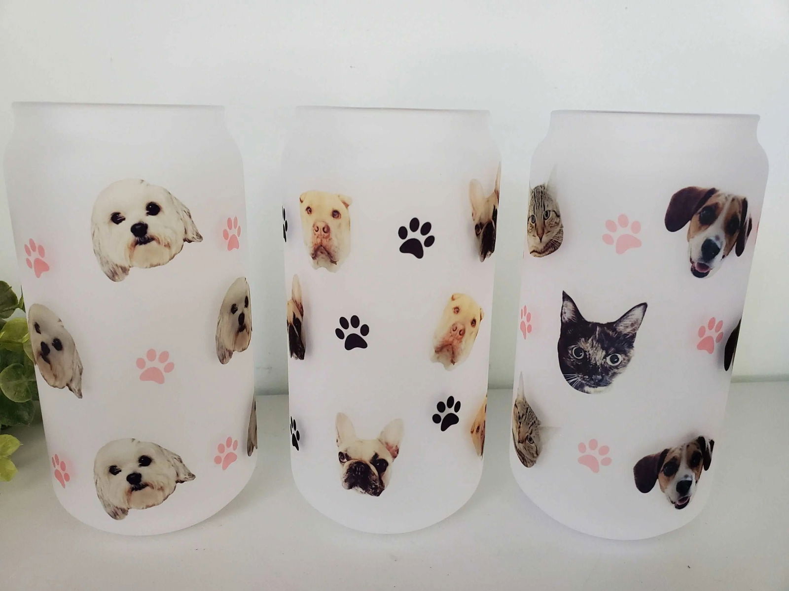 Custom Pet Glass Tumbler - Wags and Willows 