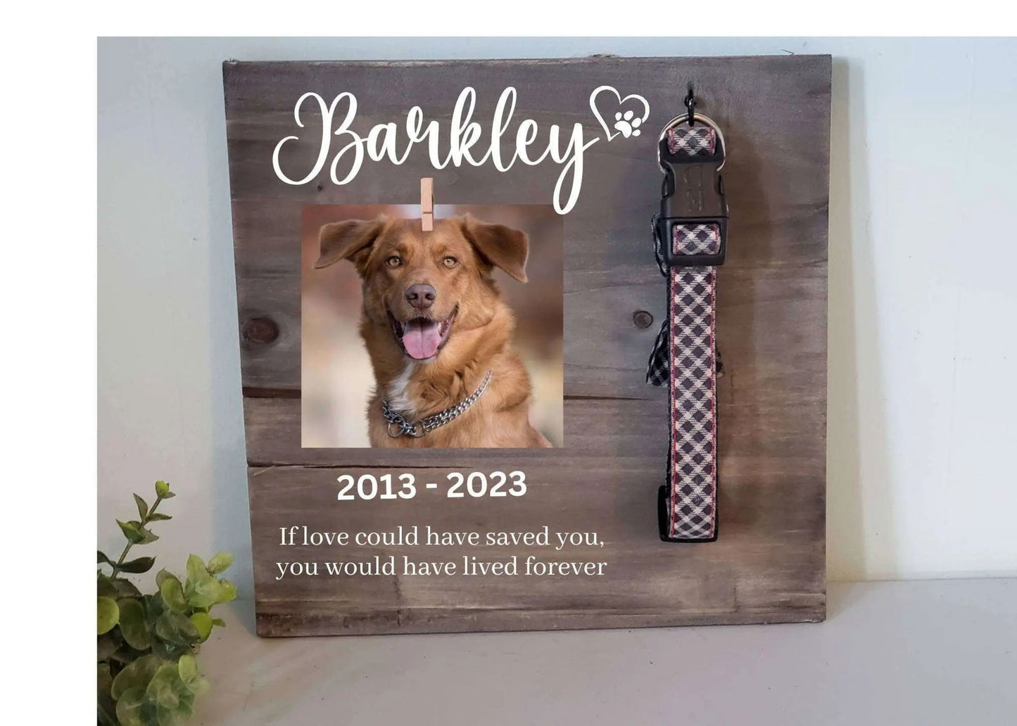 Dog Collar Memorial Frame - Wags and Willows 