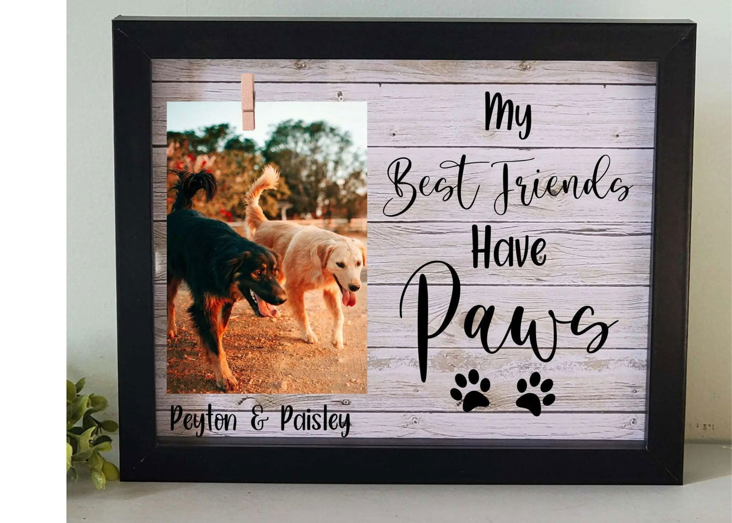 Gift for Pet lover, Custom Pet Photo Frame, Pet Shadowbox, Cat/Dog Personalized Photo Frame with Name, Dog mom gift, cat mom gift - Wags and Willows 