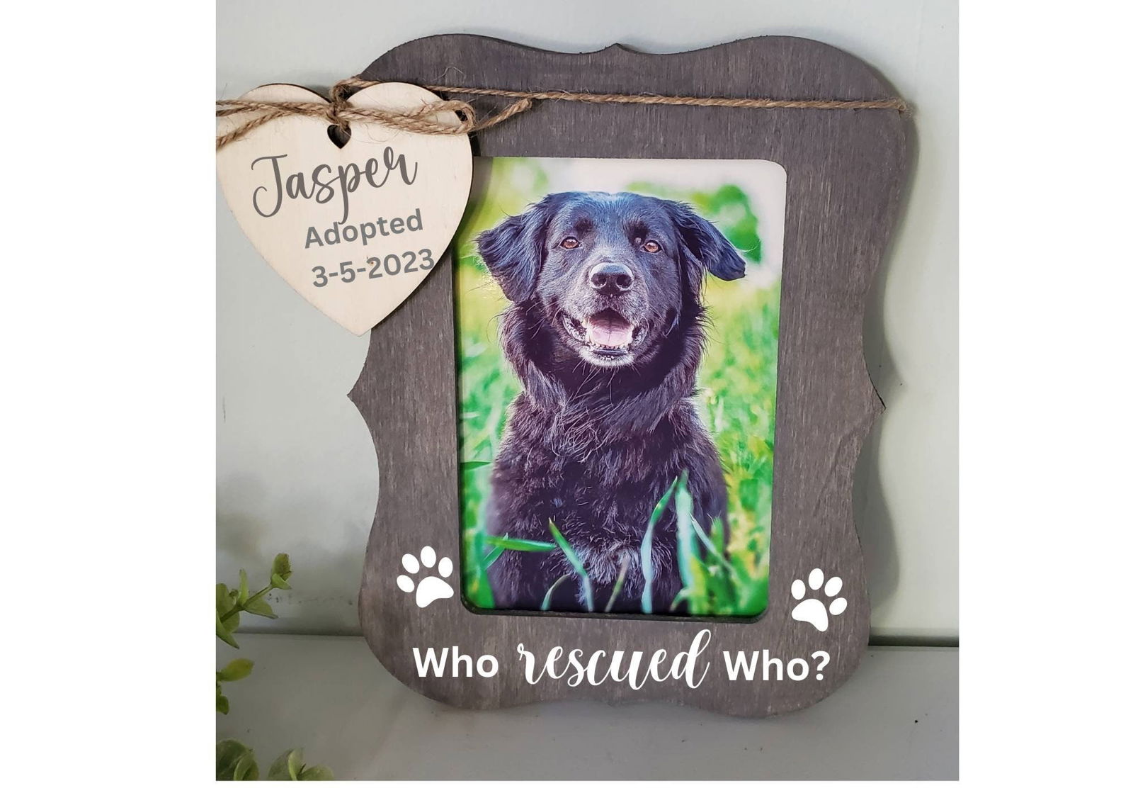 Dog Photo Frame, Cat Picture Frame, Gotcha Day, New Dog Gift, Personalized Dog Gift, Rescue Dog, Rescue  Cat, Pet Adoption gift - Wags and Willows 