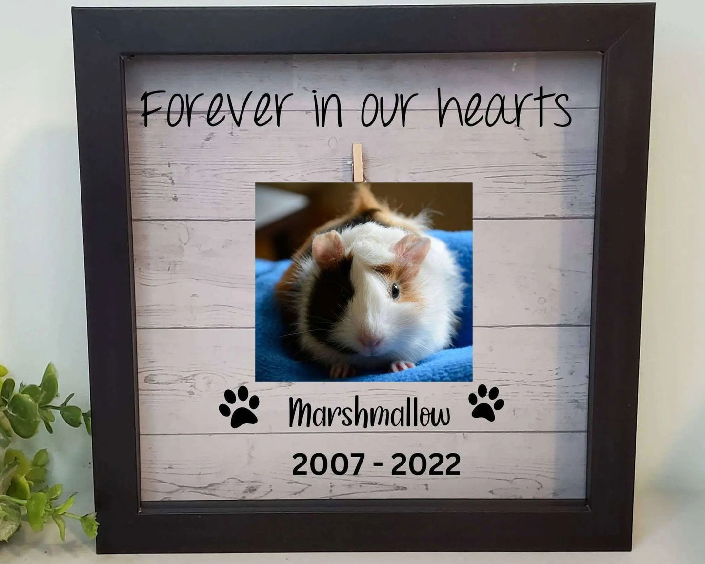 Guinea Pig Memorial Frame - Wags and Willows 