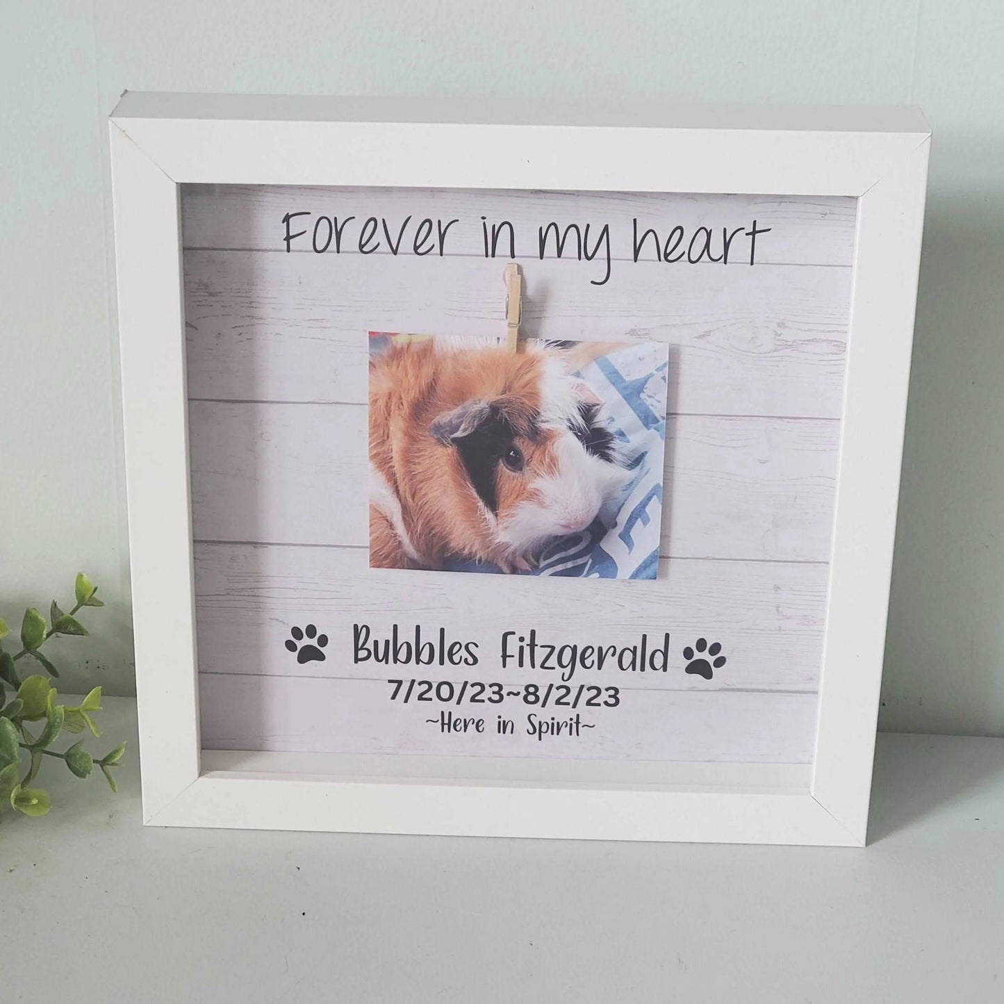 Guinea Pig Memorial Frame - Wags and Willows 