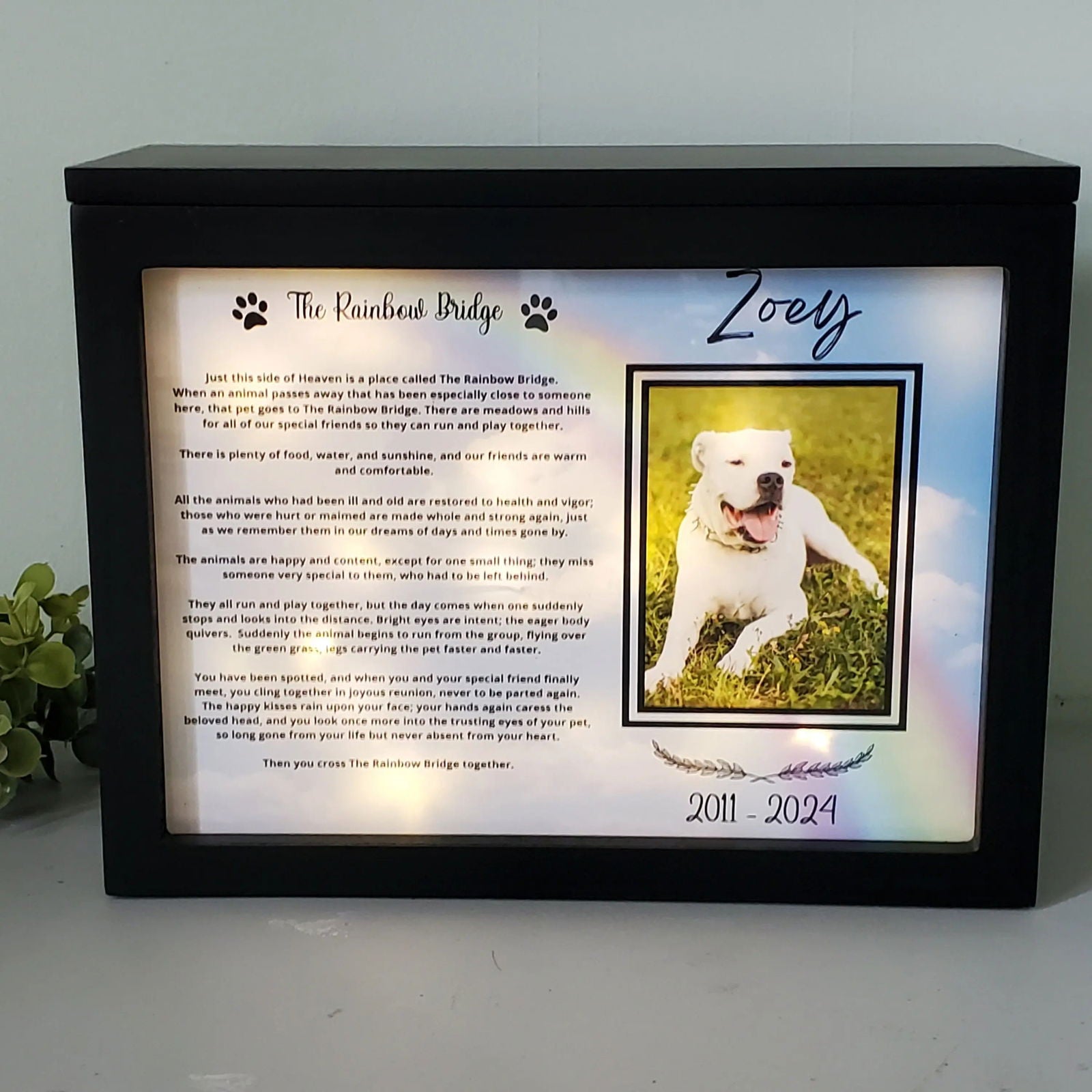 Large Dog Urn, Personalized pet urn for Large dogs, Pet Photo urn - Wags and Willows 