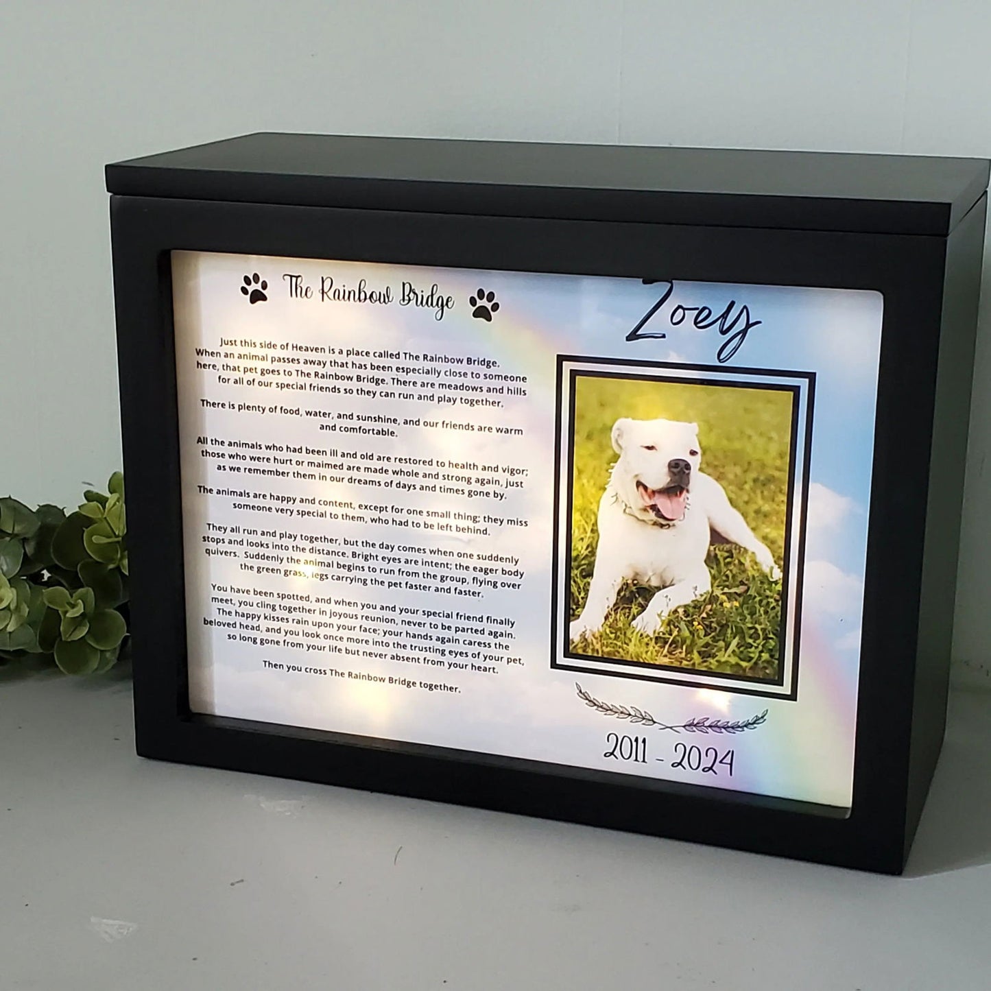 Large Dog Urn, Personalized pet urn for Large dogs, Pet Photo urn - Wags and Willows 