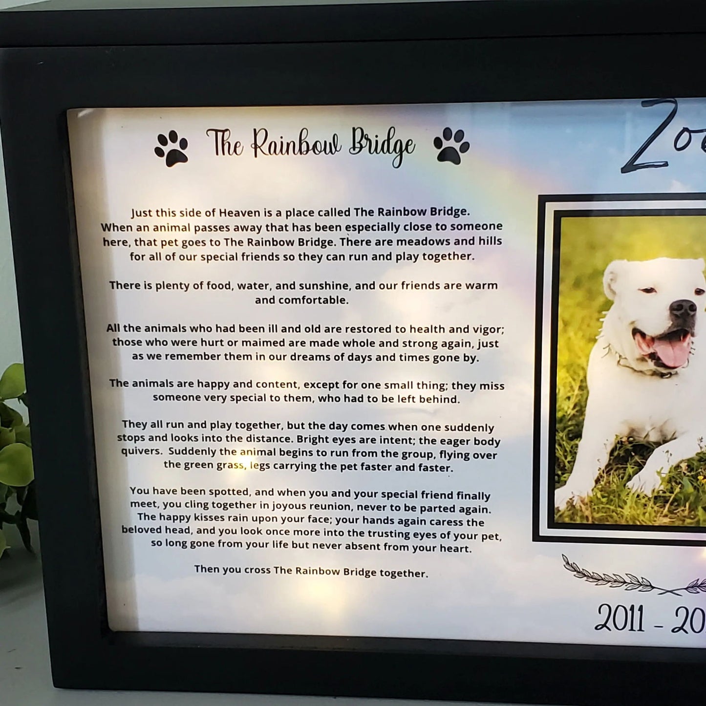 Large Dog Urn, Personalized pet urn for Large dogs, Pet Photo urn - Wags and Willows 