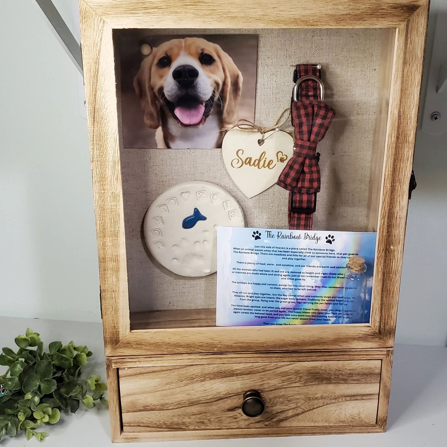 Large Pet Memorial Shadowbox - Wags and Willows 