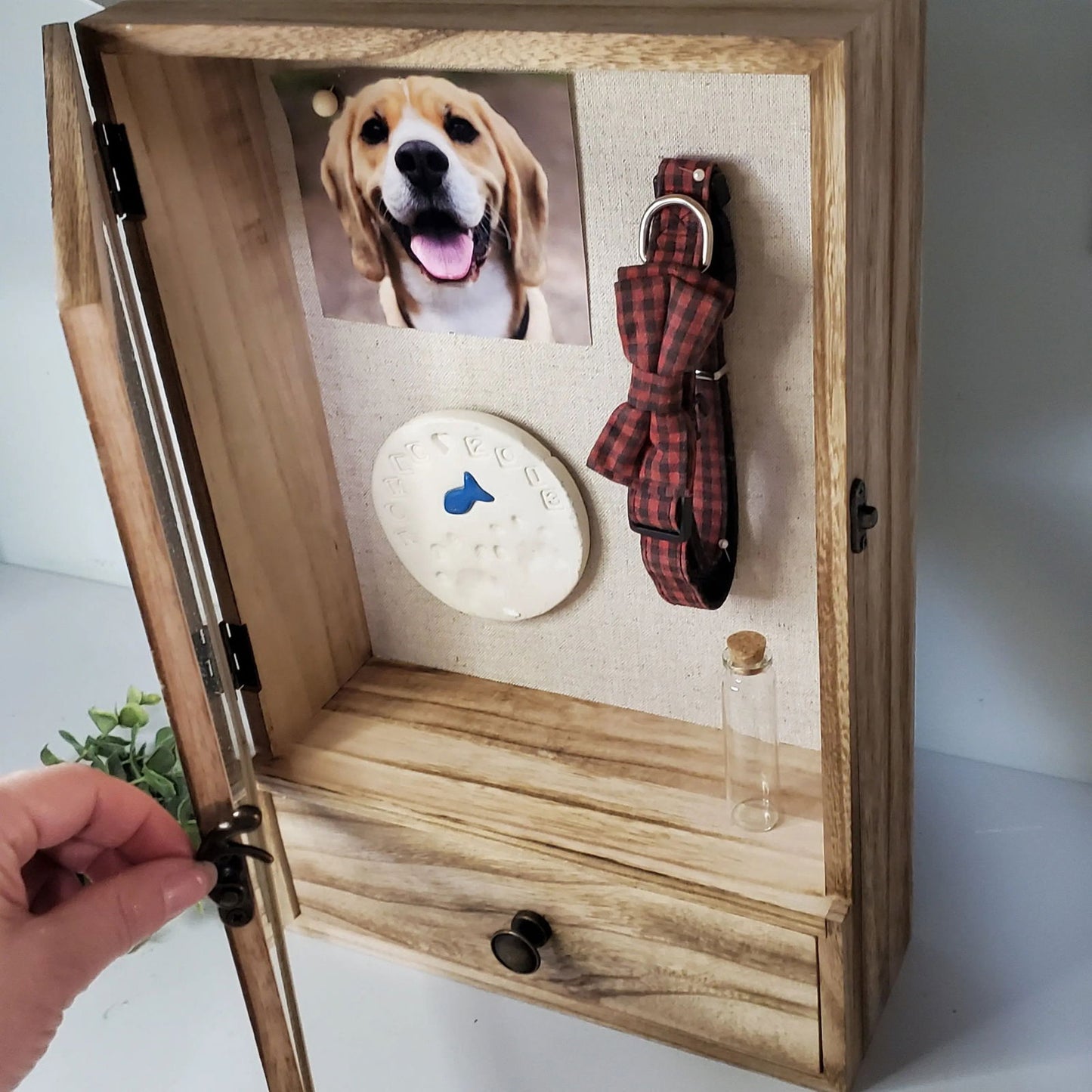 Large Pet Memorial Shadowbox - Wags and Willows 