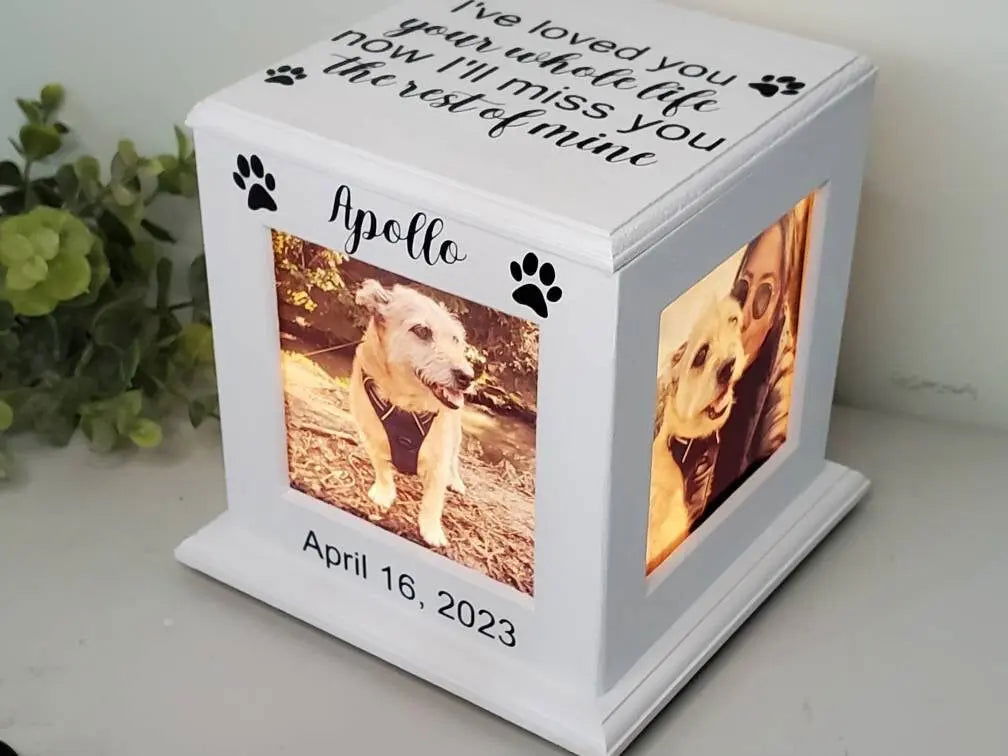 Personalized pet urn, Pet urn for cats, pet urns for small dogs, Cat urn, Small dog urn - Wags and Willows 