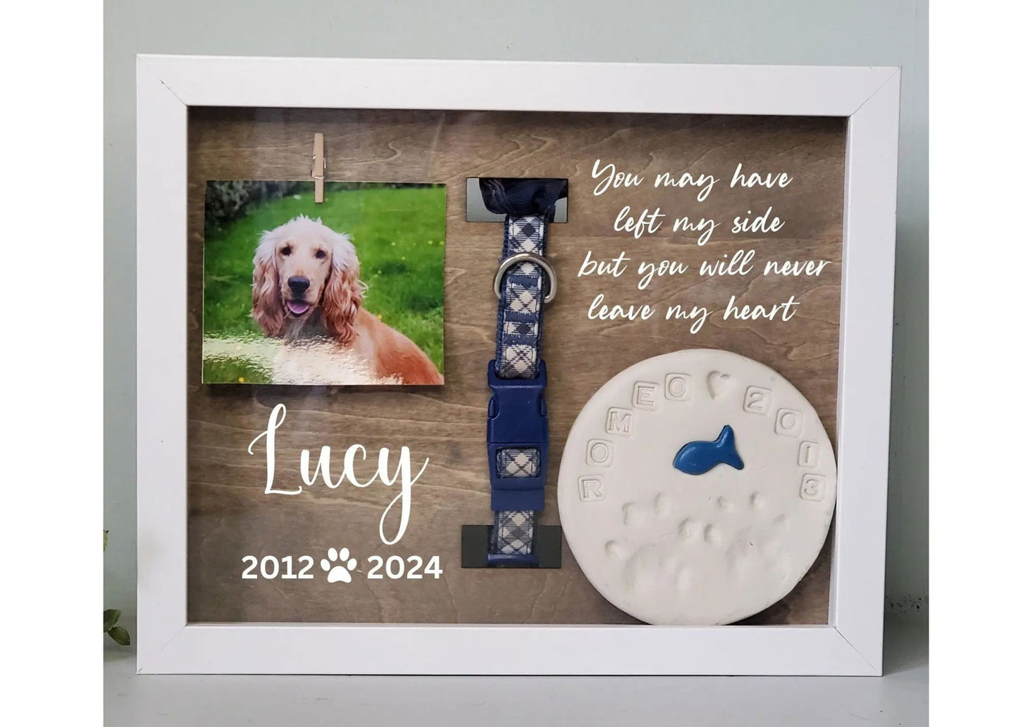 Pet Collar Memorial Frame, Dog Memorial , Cat Memorial, Loss of Pet Gift, Pet Memorial Shadow box, Pet Loss Gift - Wags and Willows 