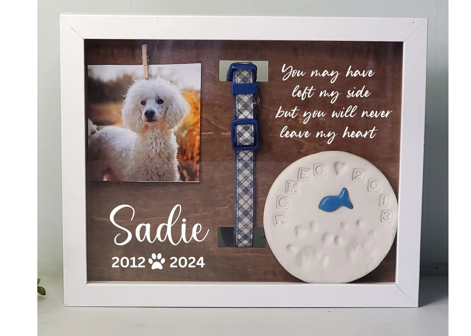 Pet Collar Memorial Frame, Dog Memorial , Cat Memorial, Loss of Pet Gift, Pet Memorial Shadow box, Pet Loss Gift - Wags and Willows 