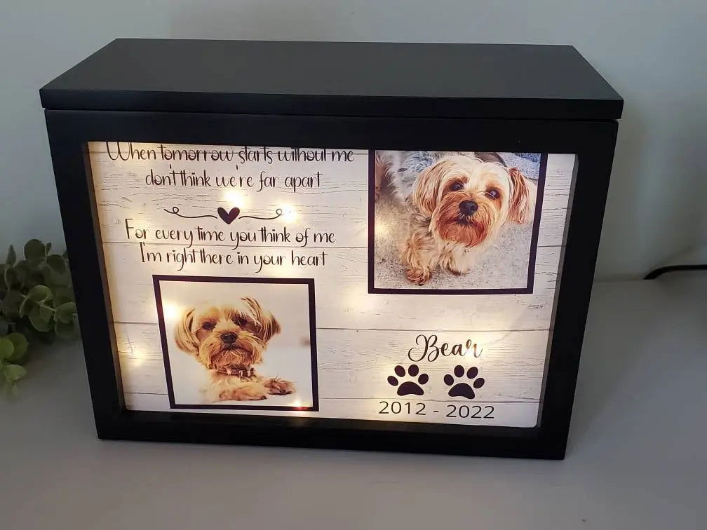 Pet Cremation Urn for ashes, Pet urn for dogs, Pet urn for cats - Wags and Willows 