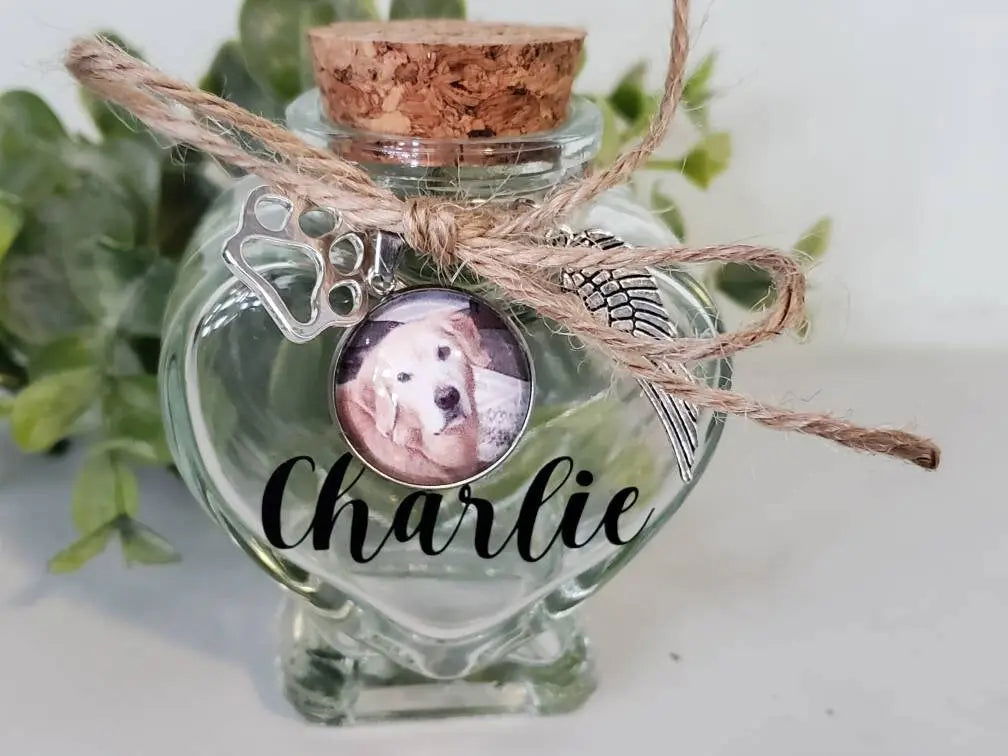 Pet Hair Keepsake Jar - Wags and Willows 