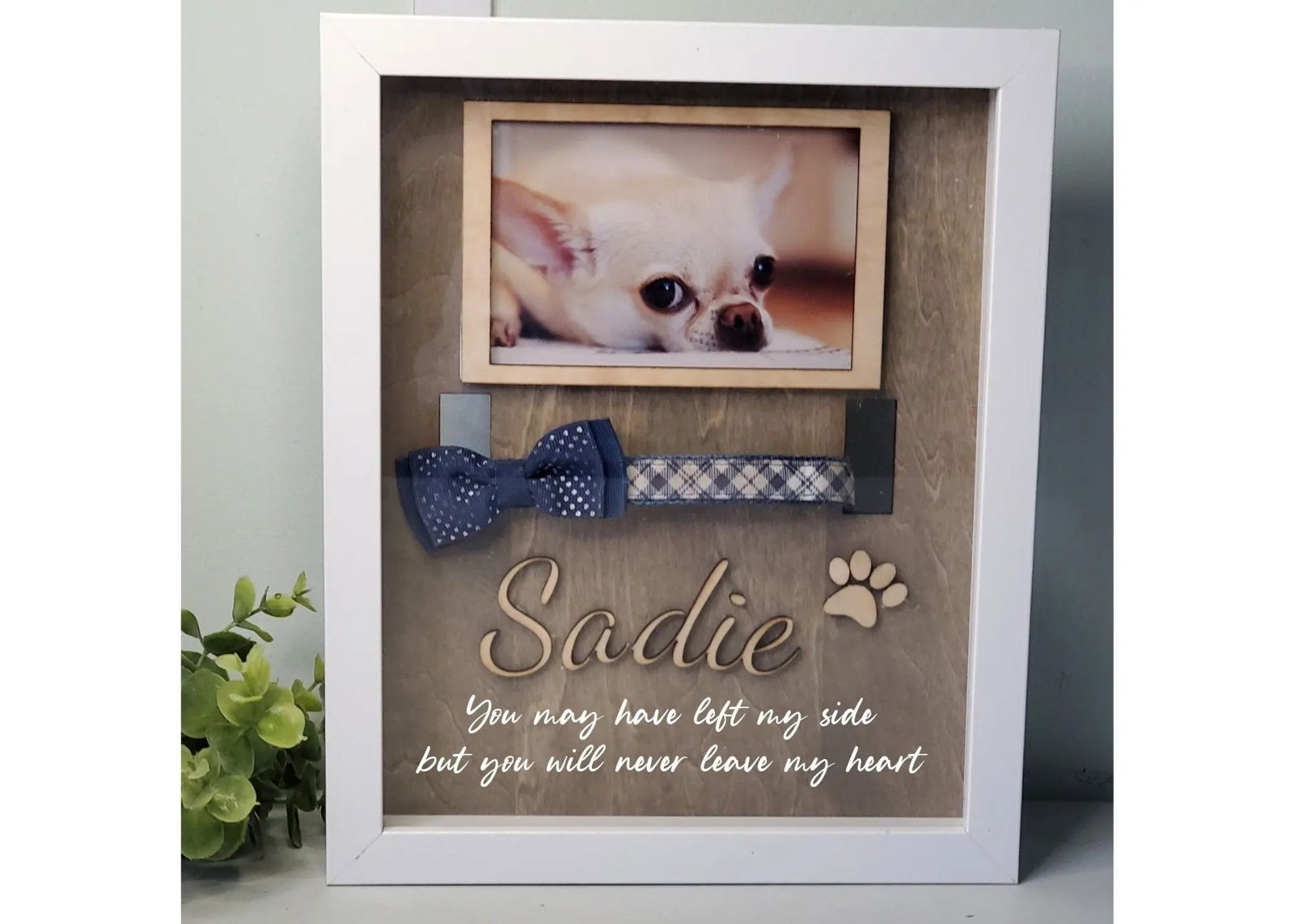 Pet Memorial- Dog Collar Memorial frame, Cat Memorial, dog collar holder, Pet Memorial Shadowbox - Wags and Willows 