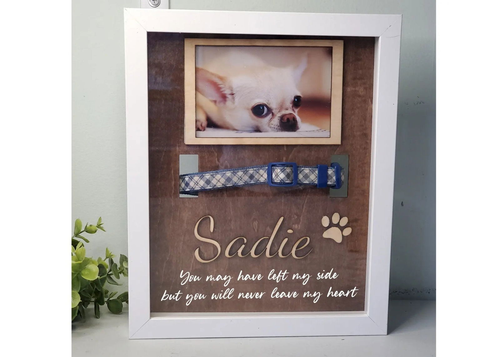 Pet Memorial- Dog Collar Memorial frame, Cat Memorial, dog collar holder, Pet Memorial Shadowbox - Wags and Willows 