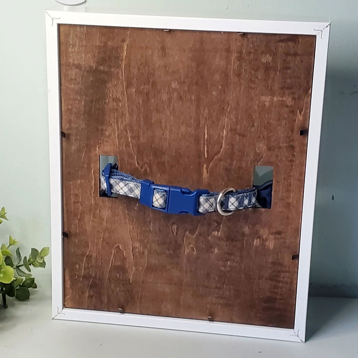 Pet Memorial- Dog Collar Memorial frame, Cat Memorial, dog collar holder, Pet Memorial Shadowbox - Wags and Willows 