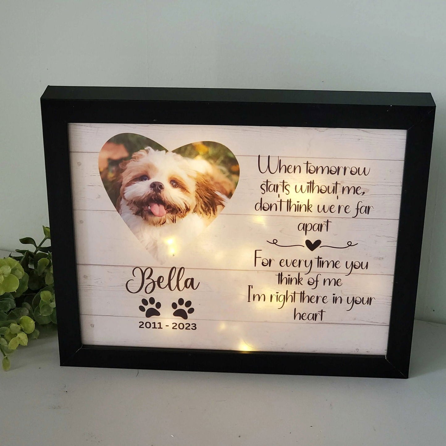 Pet Memorial Frame-Cat Memorial, Dog Memorial Gift - Wags and Willows 