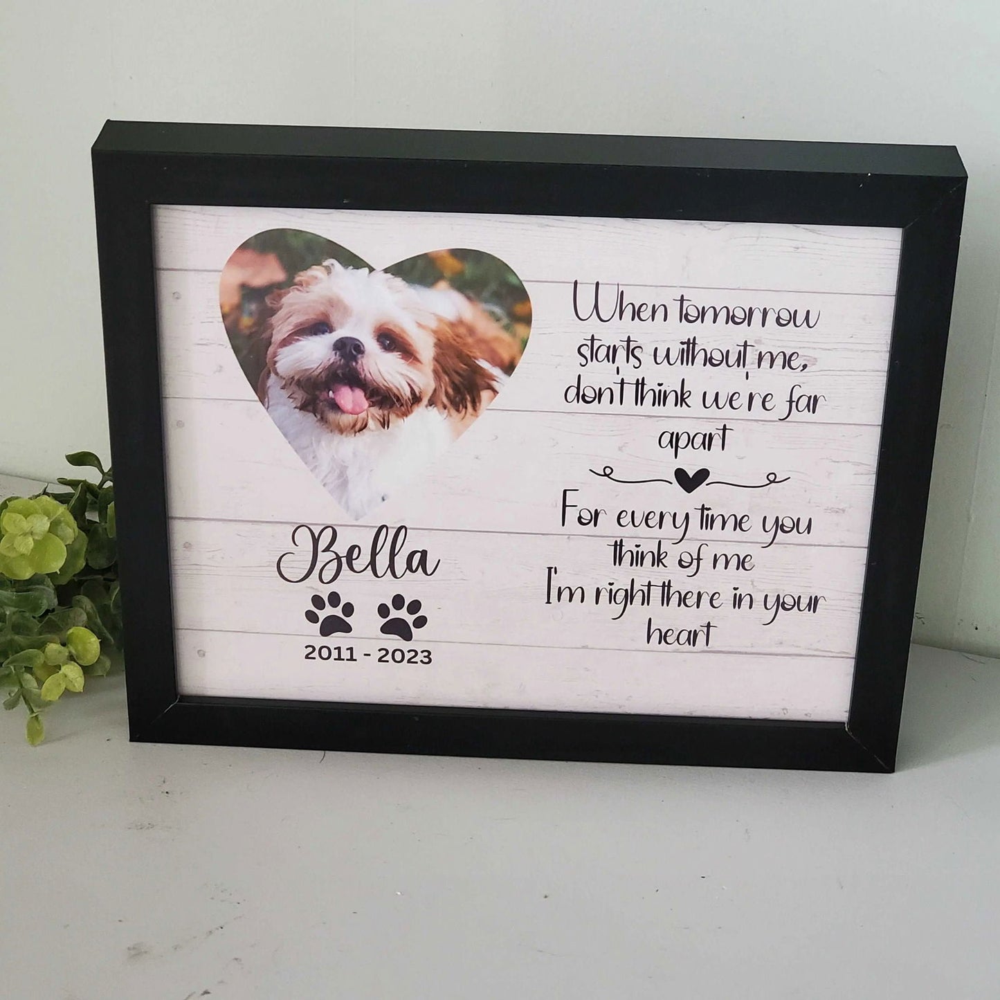 Pet Memorial Frame-Cat Memorial, Dog Memorial Gift - Wags and Willows 