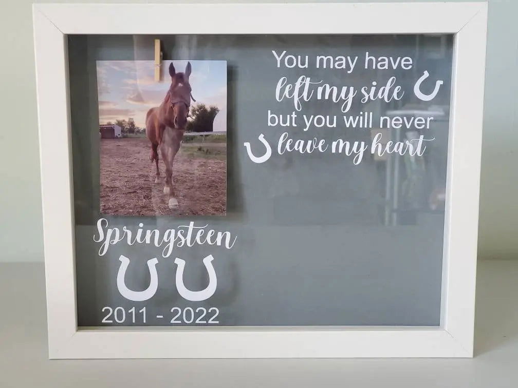 Pet Memorial, Horse Memorial Shadowbox, horse Memorial, - Wags and Willows 