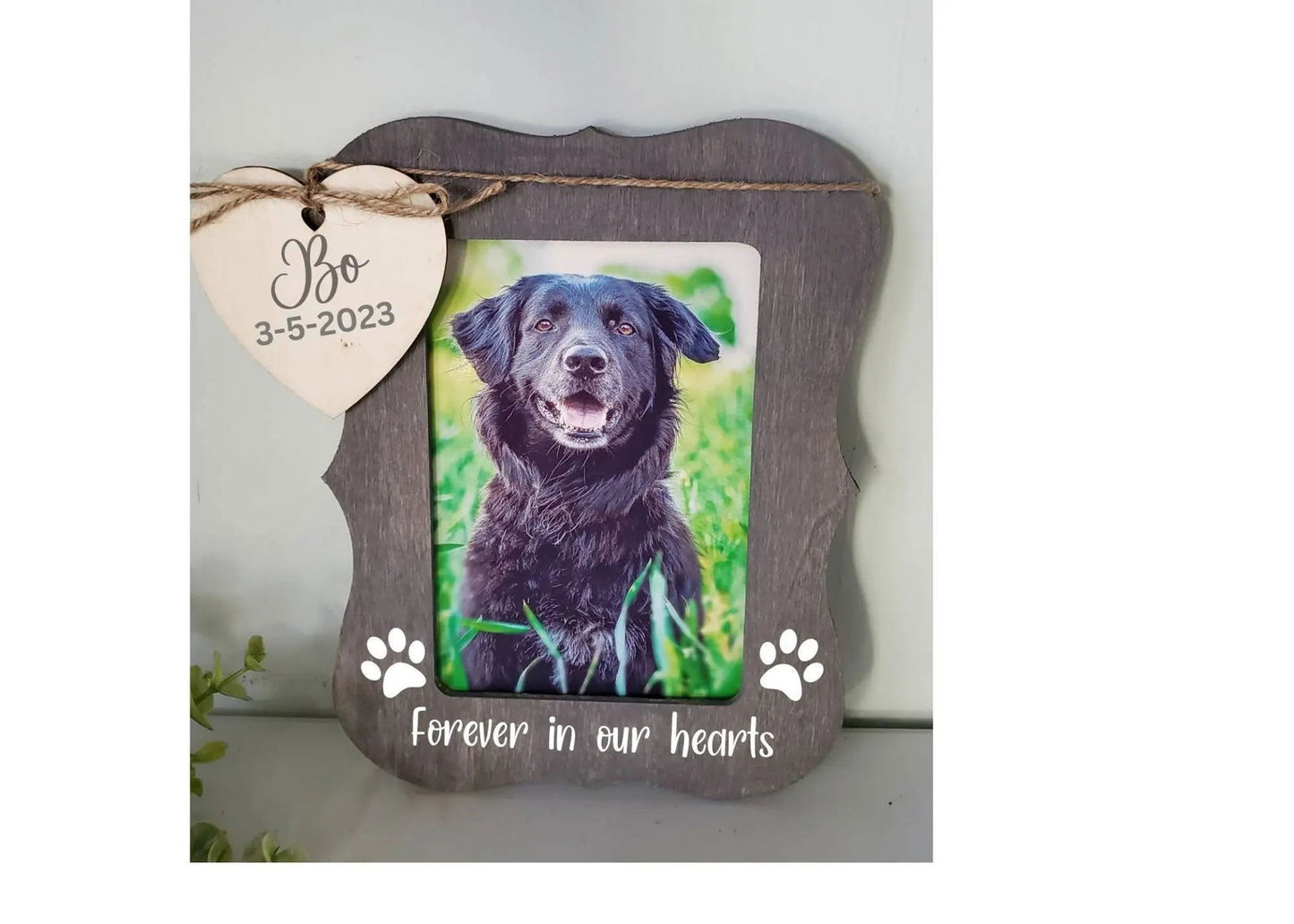 Pet Memorial Picture Frame - Wags and Willows 