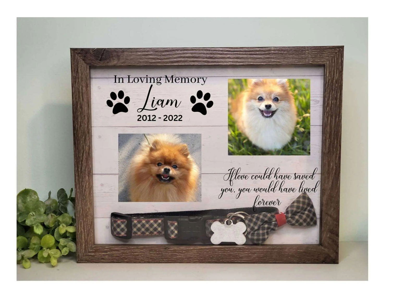 Pet Memorial Shadowbox - Wags and Willows 