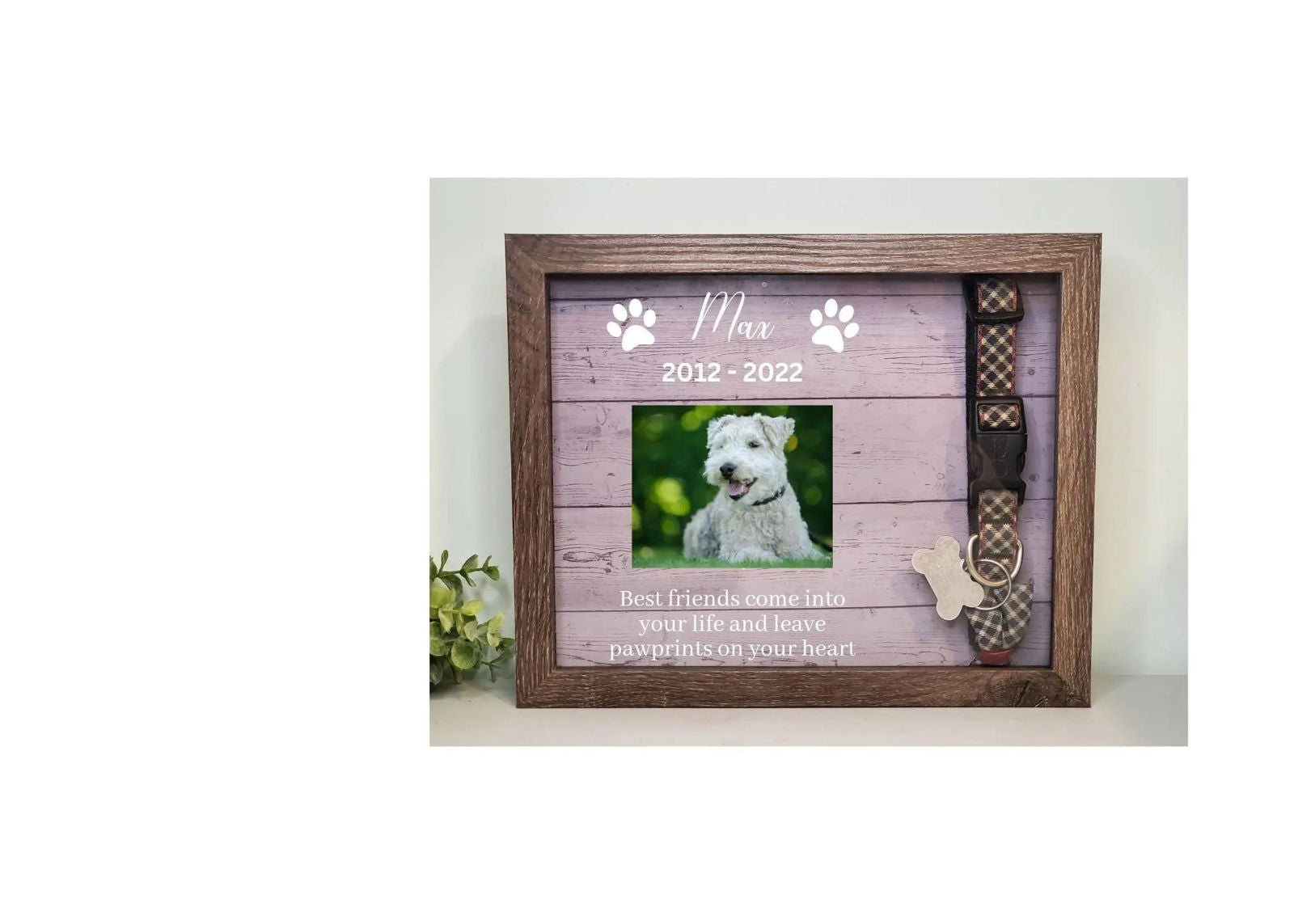 Pet Memorial Shadowbox - Wags and Willows 