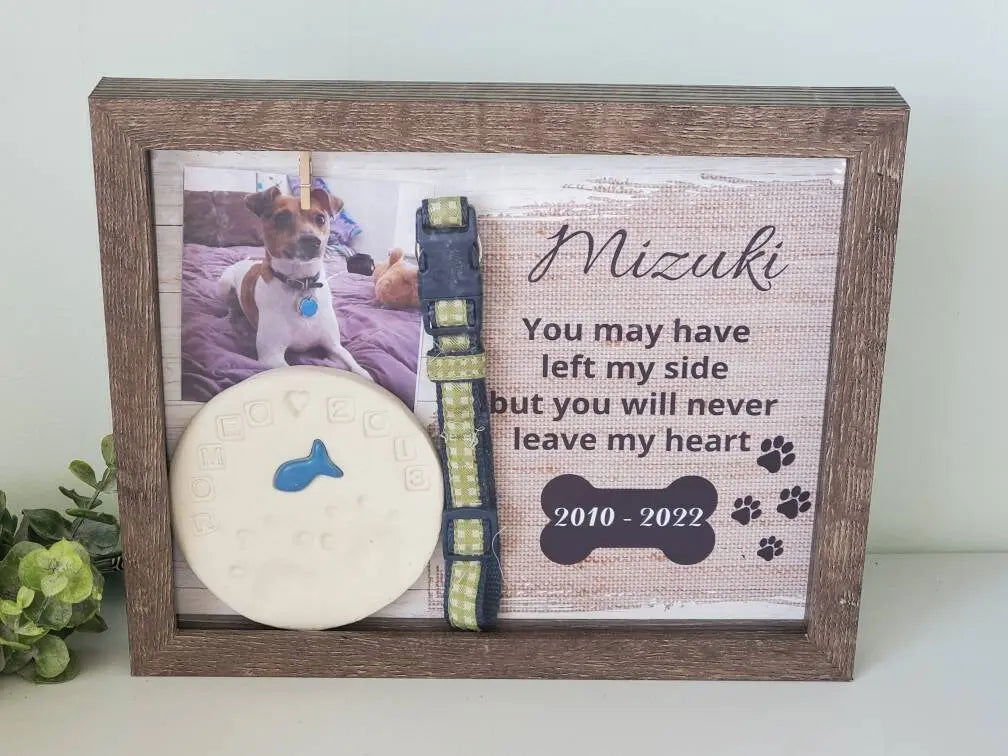 Pet Memorial Shadowbox - Wags and Willows 