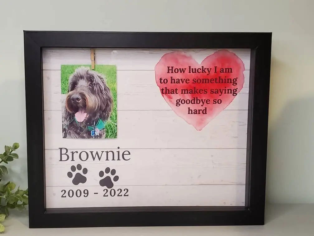 Pet Memorial Shadowbox - Wags and Willows 