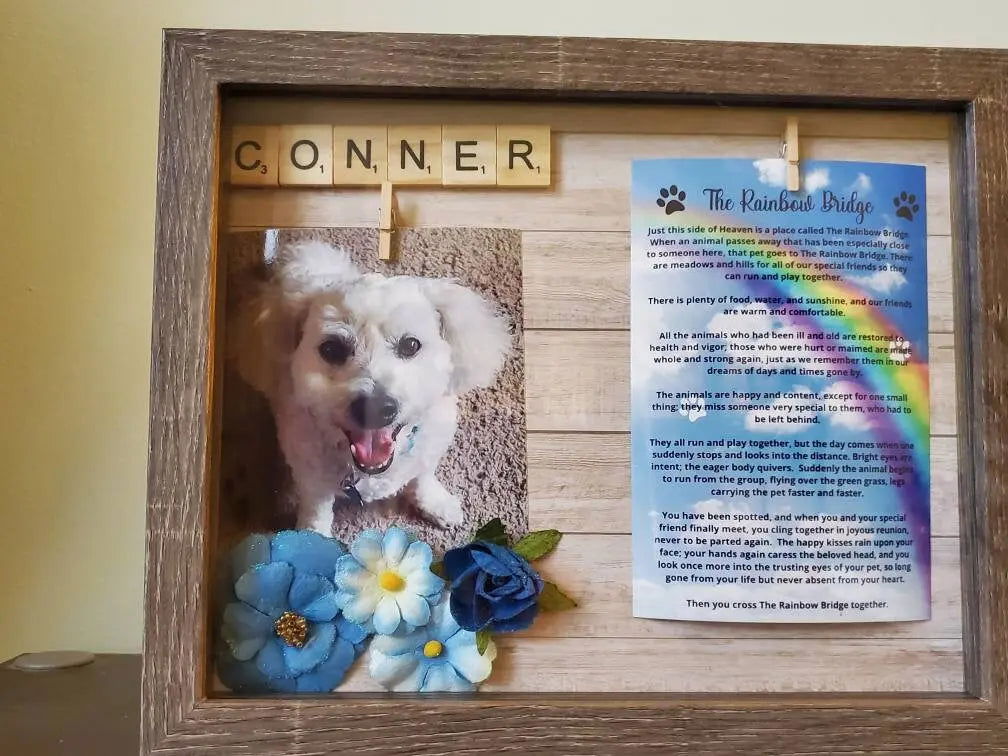 Pet Memorial Shadowbox - Wags and Willows 