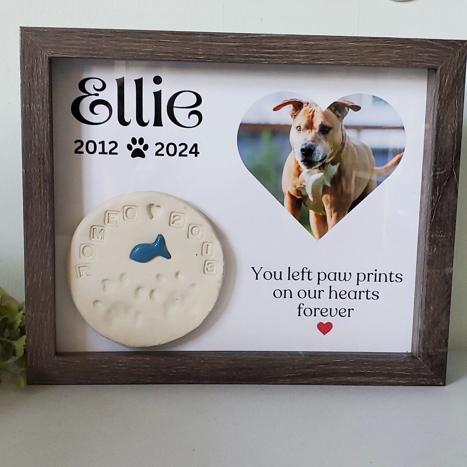 Pet Memorial Shadowbox - Wags and Willows 