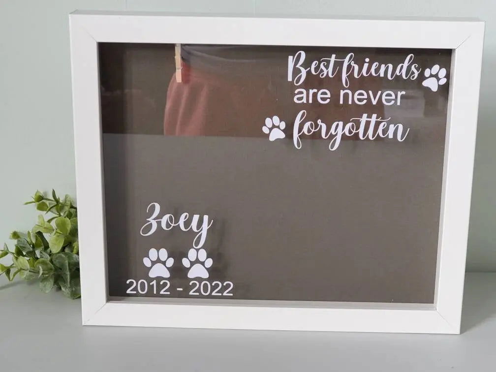 Pet Memorial Shadowbox, Pet Memorial Frame, Dog Memorial Frame - Wags and Willows 