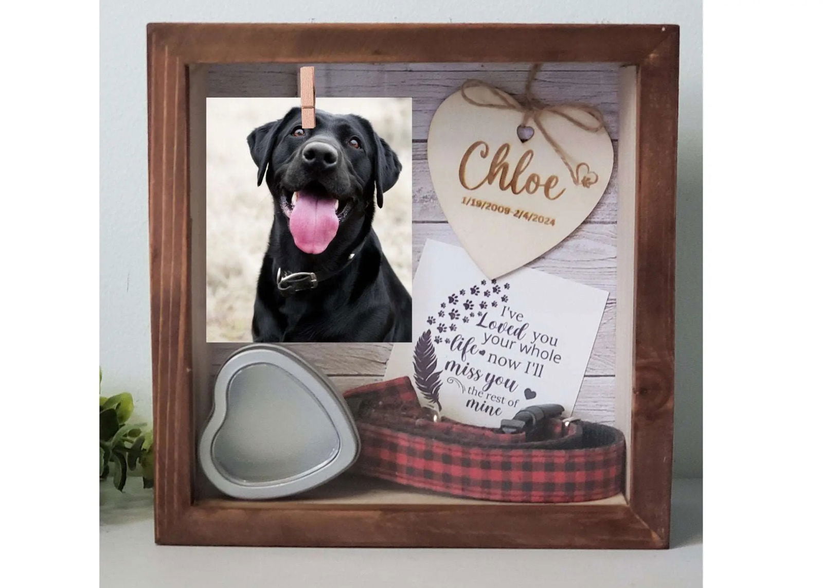 Pet Memorial Shadowbox, Pet Memorial Frame, Pet Memory Box, Dog Collar Memorial - Wags and Willows 